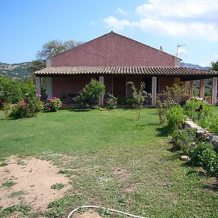 Gio Franziscu 3*