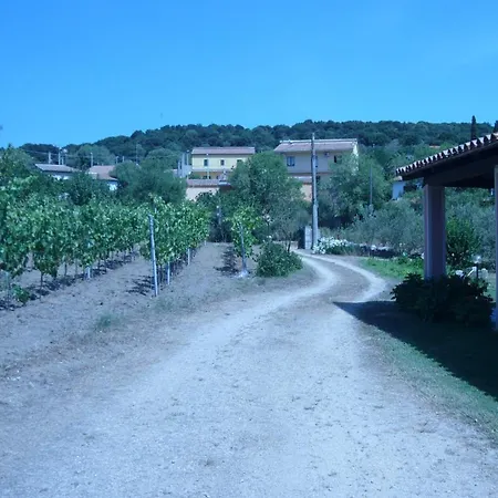 Bed & Breakfast Gio Franziscu Sa Castanza