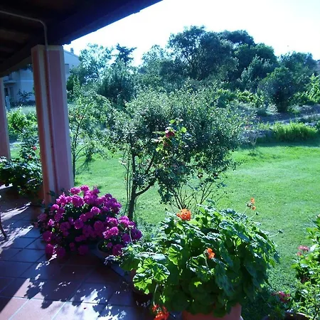 Gio Franziscu Bed & Breakfast Sa Castanza