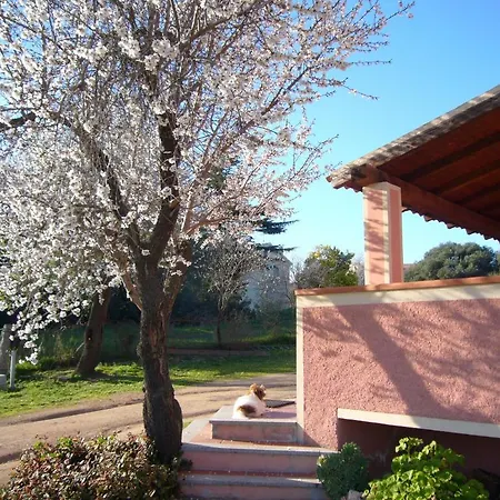 Gio Franziscu Bed & Breakfast Sa Castanza