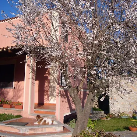 Gio Franziscu Bed & Breakfast