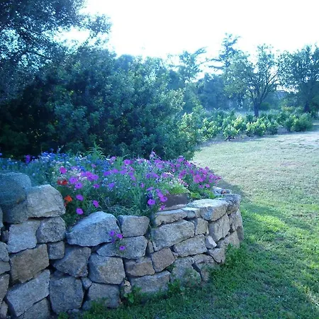 Bed & Breakfast Gio Franziscu Sa Castanza
